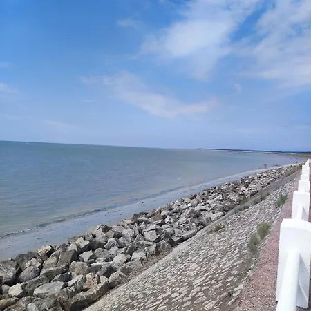 Le Jardin Des Hirondelles - 3