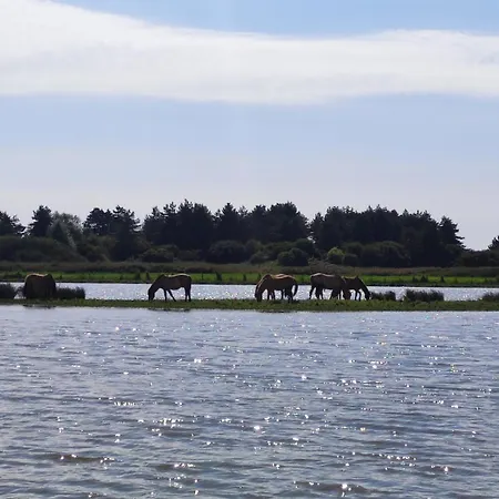 Le Jardin Des Hirondelles - 3 Ле-Кротуа